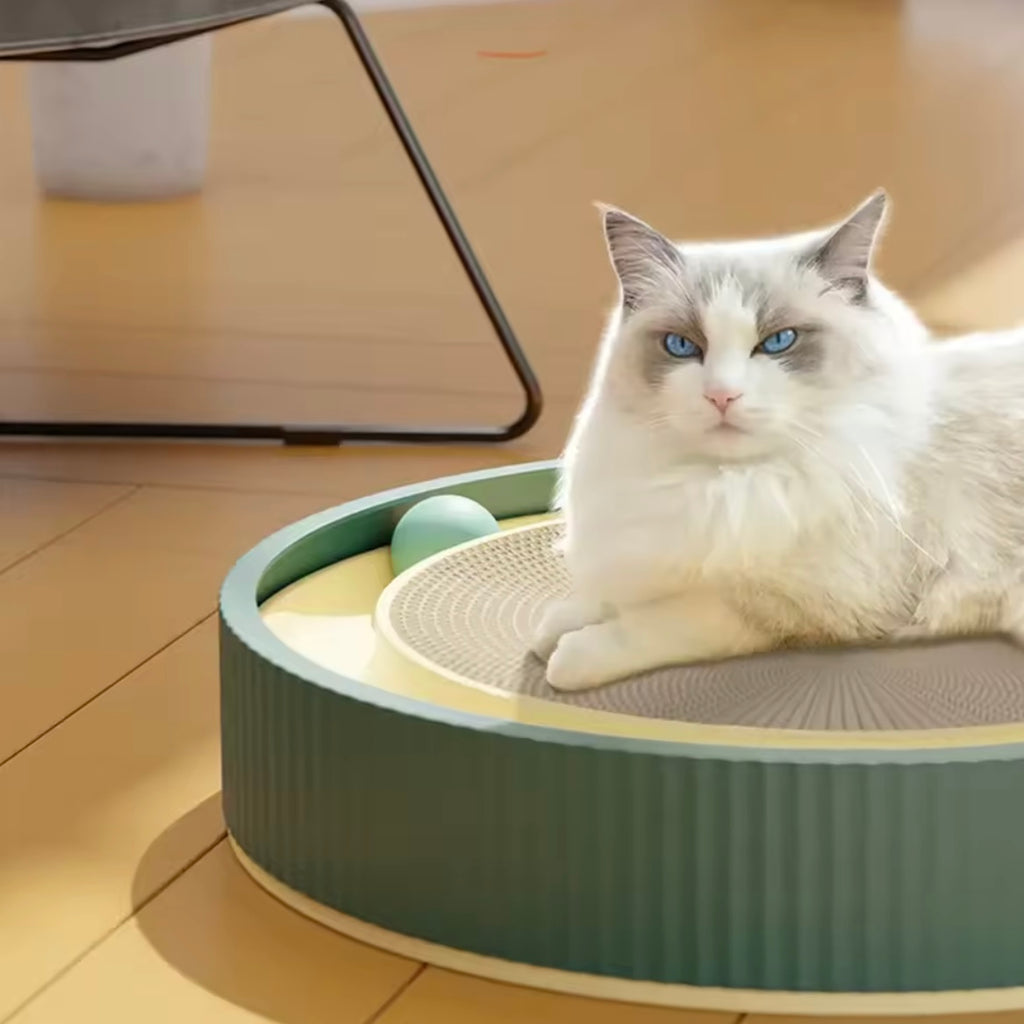 Rascador Redondo para Gatos con Juguete de Bola