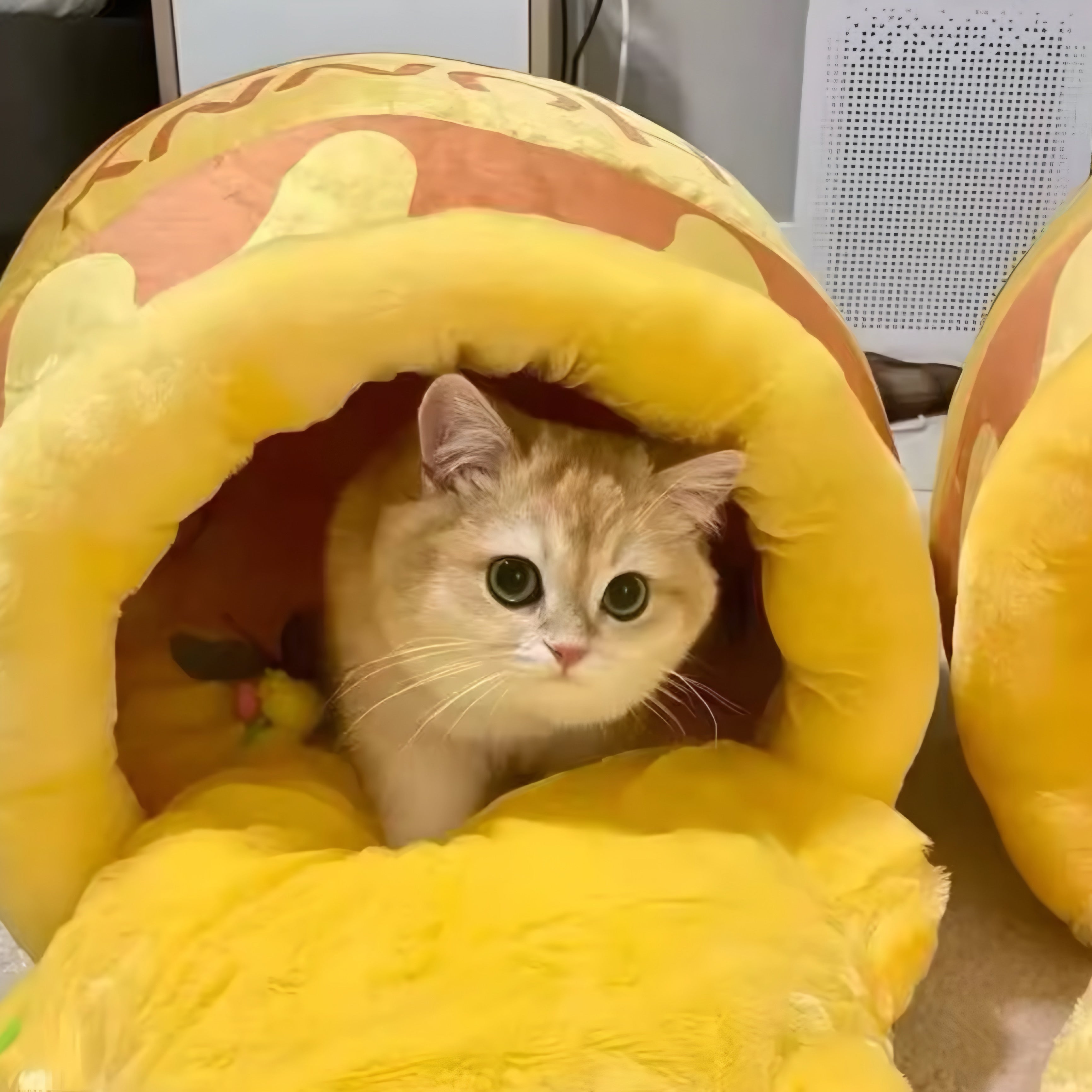 Cama para Gatos “Tarro de Miel”