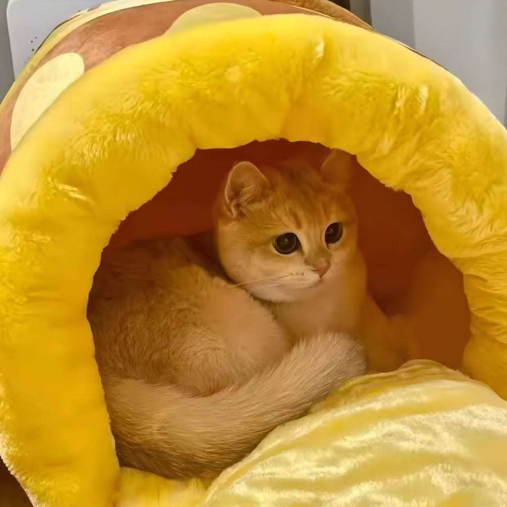 Cama para Gatos “Tarro de Miel”