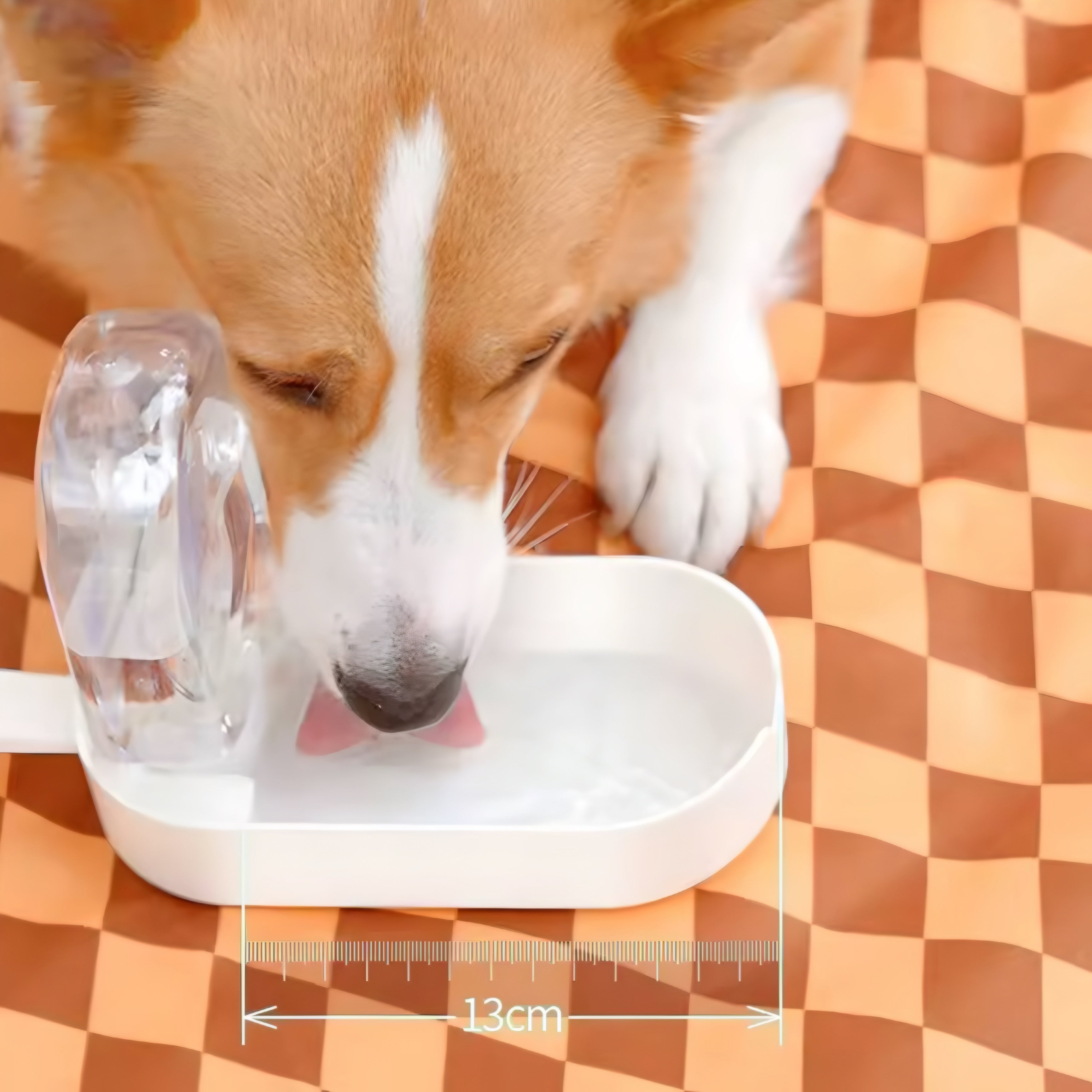 Botella Portátil de Agua para Mascotas 2 en 1